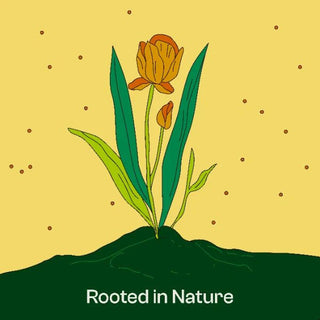 Rooted in Nature - Kala Curry