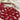Crimson Burst Earrings — handcrafted jewellery by Knots to Node