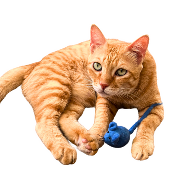 Mini Meowzie Cat Toy