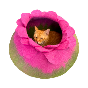 Bloom Cat Cave