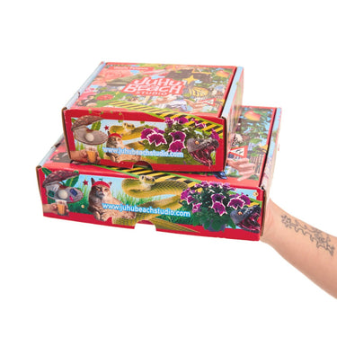 MYSTERY BOX 🔍🔮❓🤩