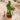 Tree Trunk Planter