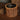 Tree Trunk Planter
