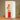 Tall House Vase