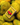 Mysore Mangoes Matchbox