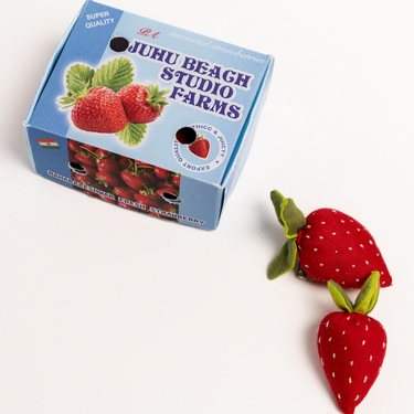 FRESH STRAWBERRIES CHAKHNA 🍓