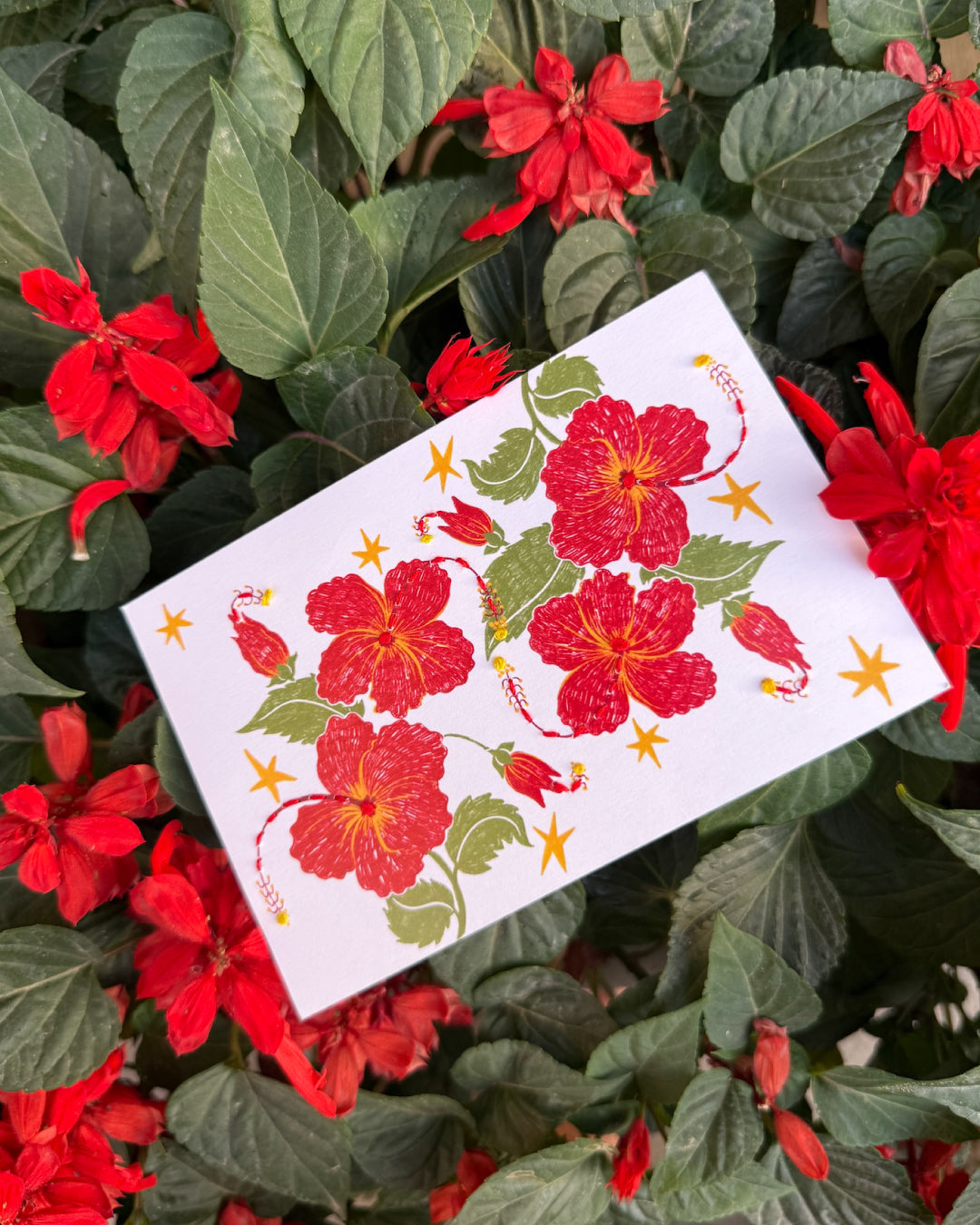 Hibiscus postcard artwork resting on a bed of red flowers and green leaves
