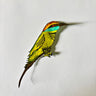 Bee Eater Fridge Magnet - Kala Curry