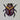 Bug Fridge Magnet (Oval) - Kala Curry