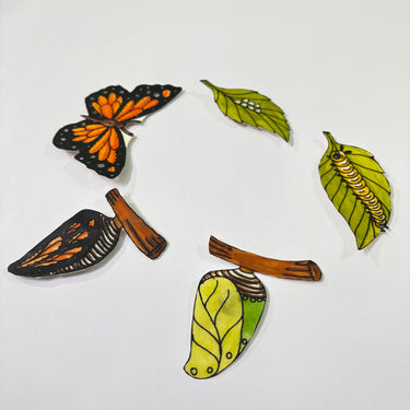 Butterfly Life Cycle Magnet - Kala Curry