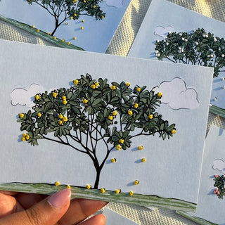 Champa Memoirs - Kala Curry