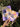 Diary Purple Collage Journal 1 - Kala Curry