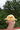Cheeky Chick Plush — handcrafted home decor by Tinieknits