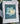 Cyanotype Card