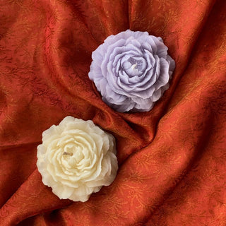 Easy Peony - Lemon Squeezy - Kala Curry