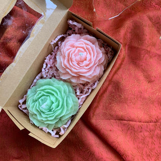 Easy Peony - Lemon Squeezy - Kala Curry