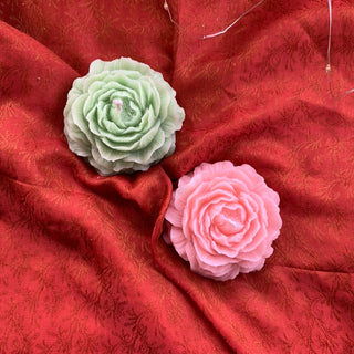 Easy Peony - Lemon Squeezy - Kala Curry