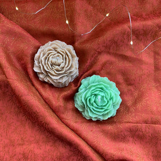 Easy Peony - Lemon Squeezy - Kala Curry