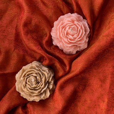 Easy Peony - Lemon Squeezy - Kala Curry