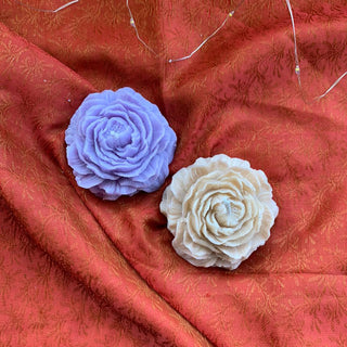 Easy Peony - Lemon Squeezy - Kala Curry