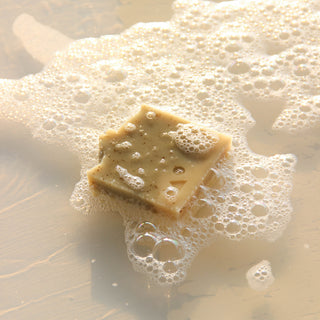 Eucalyptus & Cedarwood essential oils soaps - Kala Curry