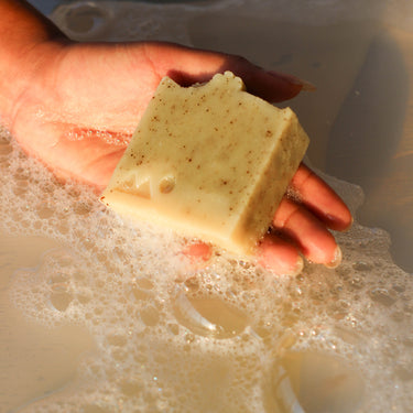Eucalyptus & Cedarwood essential oils soaps - Kala Curry