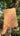 Flora Journal - Kala Curry