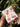 Flower Pressed Diary (Pink) - Kala Curry