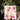 Flower Pressed Diary (Pink) - Kala Curry