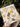 Flower Pressed Diary (Yellow) - Kala Curry