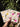 Flower Pressed Diary (Yellow) - Kala Curry