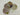 Hawa (Set of 4) - Kala Curry Creative LLP