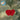 Heart Earrings - Kala Curry