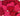 Red and rani pink heart-shaped macramé coasters from Looms Studio