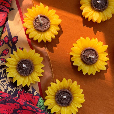 Here Comes the Sun(flower) - Kala Curry