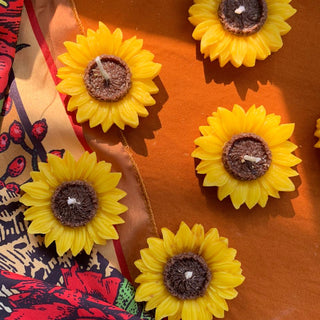 Here Comes the Sun(flower) - Kala Curry