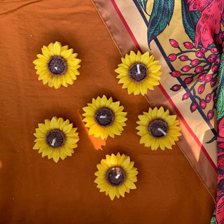 Here Comes the Sun(flower) - Kala Curry