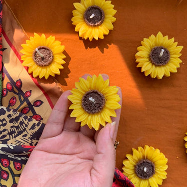 Here Comes the Sun(flower) - Kala Curry