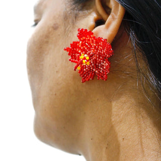 Hibiscus Studs Small - Kala Curry
