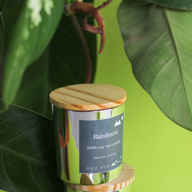 Rainforest Soy wax candle