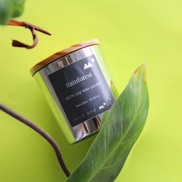 Rainforest Soy wax candle