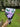 Lavender Birthday bouquet - Kala Curry