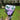 Lavender Birthday bouquet - Kala Curry