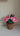 Lotus flower pot - Kala Curry