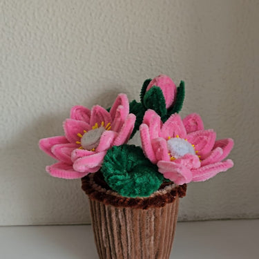 Lotus flower pot - Kala Curry