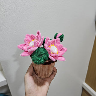 Lotus flower pot - Kala Curry