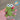 Mendak Miyan – The Cheeky Handmade Crochet Frog Keychain - Kala Curry