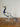Neel Crown Peacock - Glass Showpiece - Kala Curry