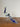 Neel Crown Peacock - Glass Showpiece - Kala Curry