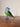 Neel Songbird - Glass Desk Buddy - Kala Curry